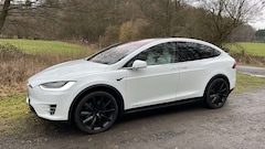 Bild des Angebotes Tesla Model X Model X 100D Allradantrieb FSD Computer MCU2