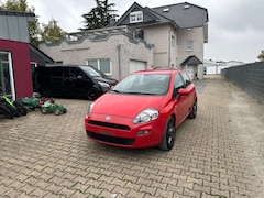 Bild des Angebotes Fiat Punto Pop Tüv Au Neu 8 x Bereift in Top Zustand