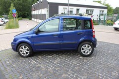 Bild des Angebotes Fiat Panda 1.2 8V Dynamic/Alu/Klima/Tüv NEU.
