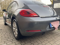 Bild des Angebotes VW Beetle Club BMT