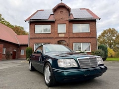 Bild des Angebotes Mercedes-Benz E 220 W124 Cabriolet *Final Edition* *Deutsch*