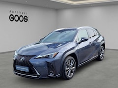 Lexus UX 250h Navi LED Dyn. Kurvenlicht ACC Apple CarPlay Androi