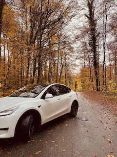 Tesla Model Y Long Range RWD