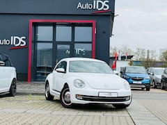 Bild des Angebotes VW Beetle Lim. Cup
