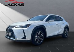Bild des Angebotes Lexus UX 250h 250 h*EXECUTIVE*HUD*LEDER*SCHIEBEDACH