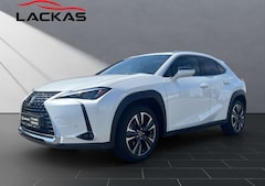 Bild des Angebotes Lexus UX 250h 250 h*EXECUTIVE*HUD*LEDER*SCHIEBEDACH