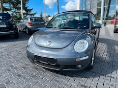 Bild des Angebotes VW New Beetle 2.0 CUP Edition Sitzh. Klima. Radio