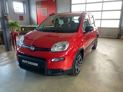 Bild des Angebotes Fiat Panda 1.2 8V CITY LIFE LPG~Gas~Klima