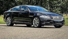 Bild des Angebotes Jaguar XJ XJ 5.0 V8 Premium Luxury