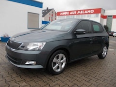 Bild des Angebotes Skoda Fabia Joy, Klimaautomatik, Automatik, Tempomat, 2X Sitzh