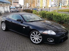 Bild des Angebotes Jaguar XK XK 4.2 Coupe