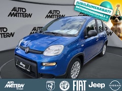 Bild des Angebotes Fiat Panda 1,0 Hybrid PDC TFT Tacho Klima Bluetooth
