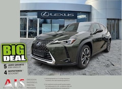 Bild des Angebotes Lexus UX 250h Style Edition Navi*KAM*DAB*SHZ*Lenkradhz