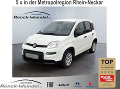 Bild des Angebotes Fiat New Panda 1.0 DAB Spurhalteass. Verkehrszeichenerk. Notbrems