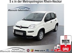 Bild des Angebotes Fiat New Panda 1.0 DAB Spurhalteass. Verkehrszeichenerk. Notbrems