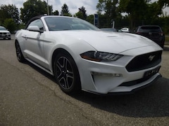 Bild des Angebotes Ford Mustang 2.3 EcoBoost Cabrio