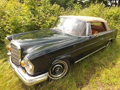 Bild des Angebotes Mercedes-Benz 250 SE Cabrio und? - Familienzuwachs gefällig?