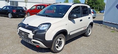 Bild des Angebotes Fiat Panda 4x40° Sondermodell nur 1983Stück