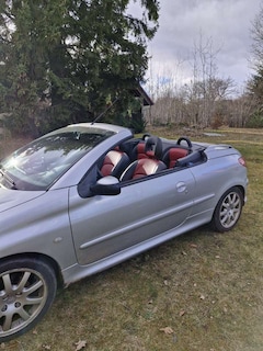 Bild des Angebotes Peugeot 206 CC Filou Cabrio
