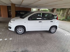 Bild des Angebotes Fiat New Panda Kleinwagen