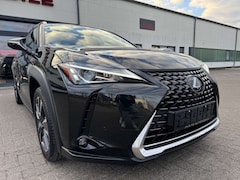 Bild des Angebotes Lexus UX 250h EXECUTIVE LINE/ACC/LED/DAB/SITZH/