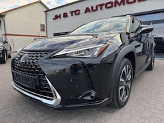 Bild des Angebotes Lexus UX 250h EXECUTIVE LINE/ACC/LED/DAB/SITZH/