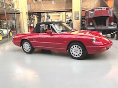 Bild des Angebotes Alfa Romeo Spider aus 1.Hand - professionell restauriert!