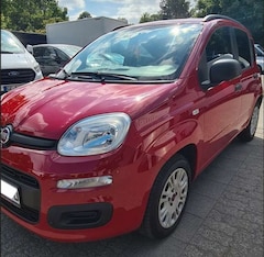 Bild des Angebotes Fiat Panda Panda 1.2