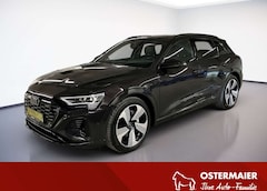 Bild des Angebotes Audi Q8 e-tron S-LINE QUATTRO 50 340PS.MATRIX.NAVI.PANO.AHK.KAMER