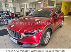 Bild des Angebotes Mazda CX-30 2.0 Selection 2WD LED, Navi, DAB, App