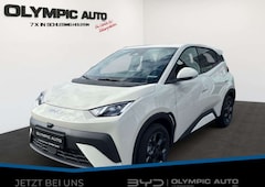 Bild des Angebotes BYD Dolphin Dolphin Surf Comfort 43kWh 360°KAMERA LED SITZHZ