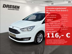 Bild des Angebotes Ford Grand C-Max Titanium 1.0 EcoBoost 125 PS Navi/Sitzheizung