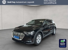 Bild des Angebotes Audi e-tron 50 quattro basis