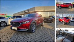 Bild des Angebotes Mazda CX-30 2.5L e-SKYACTIV G 140ps MATRIX LED LENKRADHEIZUNG