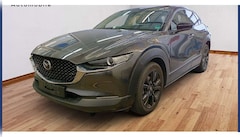 Bild des Angebotes Mazda CX-30 2.5 Aut. Homura HUD LED NAVI TOTW KAMERA