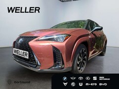 Bild des Angebotes Lexus UX 300h E-FOUR F SPORT *LED*360°*GSD*Levinson*SHZ*