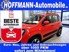 Bild des Angebotes Fiat Panda Cross Allwetterreifen,PDC,Klimaautomatik