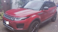 Bild des Angebotes Land Rover Range Rover Evoque Range Rover Evoque TD4 Aut. Landmark Edition