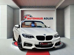 Bild des Angebotes BMW 220 i Cabrio M-Sport*AUTOM*NAV*LED*SHZ*SHADOW*19%
