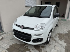 Bild des Angebotes Fiat New Panda More *Standheizung*
