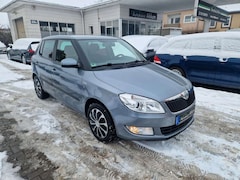 Bild des Angebotes Skoda Fabia Family Automatik AHK Klima PDC 8-Fach