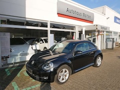 Bild des Angebotes VW Beetle Sport