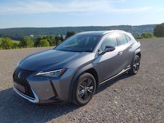 Bild des Angebotes Lexus UX 250h Launch Edition*Kamera*Navi*Shz