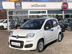 Bild des Angebotes Fiat Panda MY25 1.0 Klima PDC Citypaket