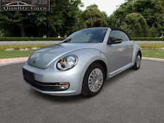 Bild des Angebotes VW Beetle Cabriolet Club 1,2 77KW  1. Hand  Mwst.