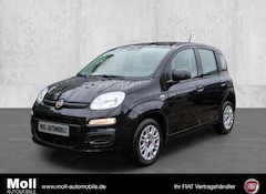 Bild des Angebotes Fiat Panda Hybrid Klima Tagfahrlicht Radio ZV ABS Servo Airb