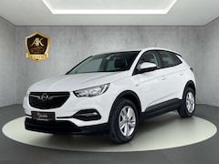 Bild des Angebotes Opel Grandland EDITION*INTELLiLINK*WINTERPAKET*SHZ