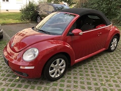 Bild des Angebotes VW New Beetle Cabriolet 1.6