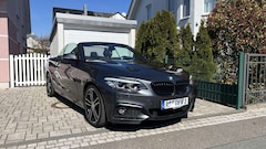 Bild des Angebotes BMW 220 2er Cabrio 220i Cabrio Aut. M Sport