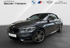 Bild des Angebotes BMW M2 40i Cabrio DrivingAss/ Business Paket/ HiFi/ Lordo
